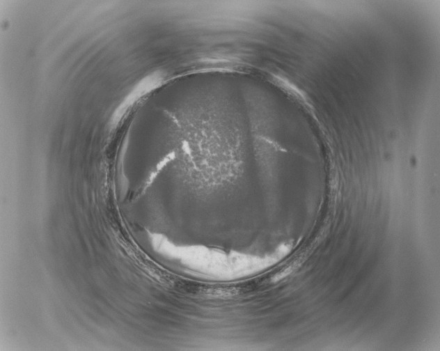 X0000052631411200507221738