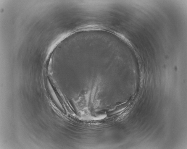 X0000052631413200507221738