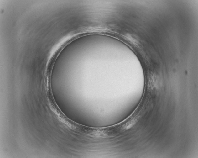 X0000052631414200507221738