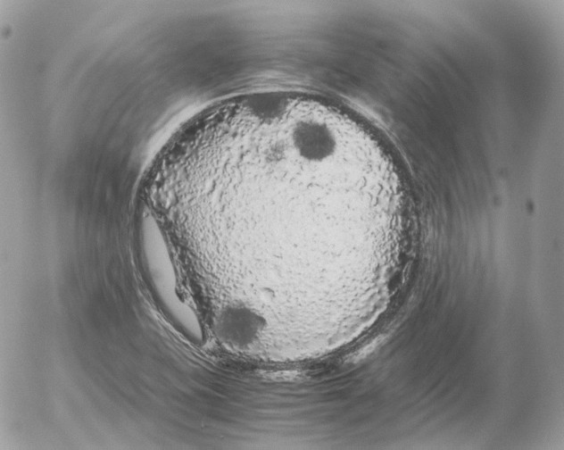 X0000052631415200507221738