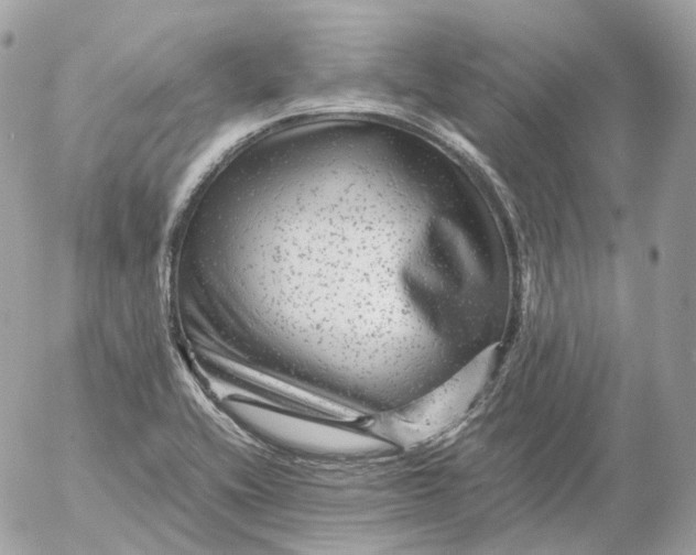 X0000052631416200507221738