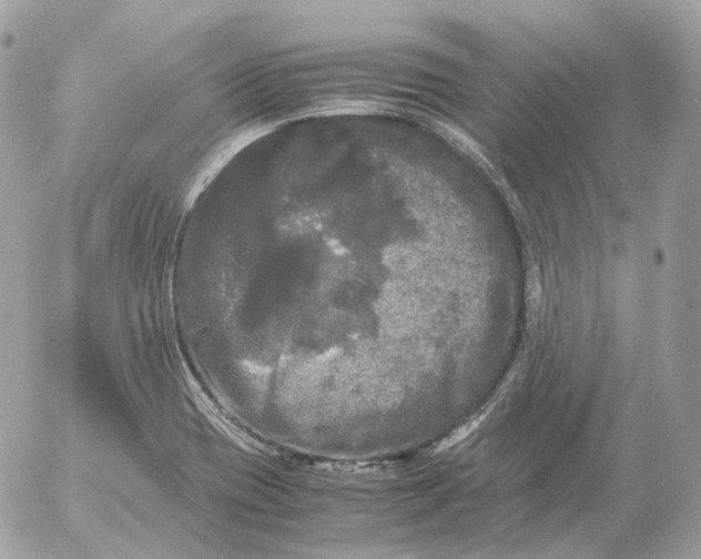 X0000052631417200507221738