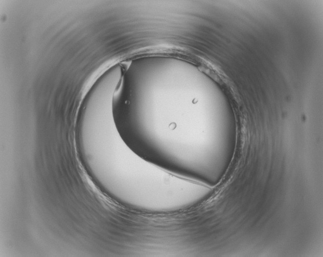 X0000052631418200507221738