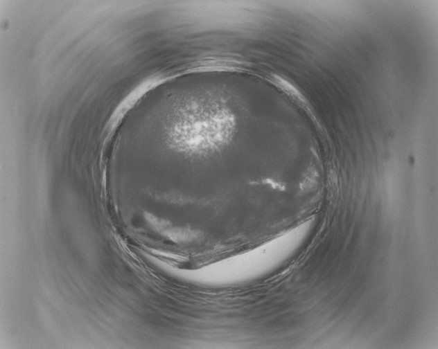 X0000052631419200507221738