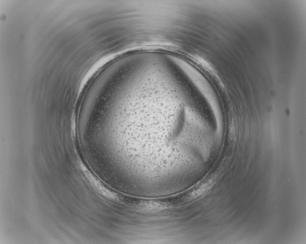 X0000052631420200507221738