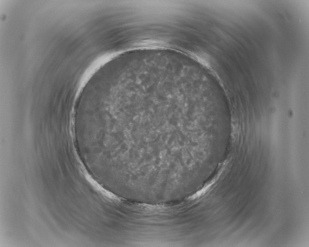 X0000052631421200507221738