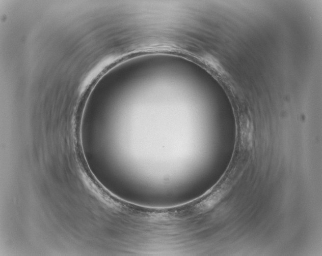 X0000052631422200507221738