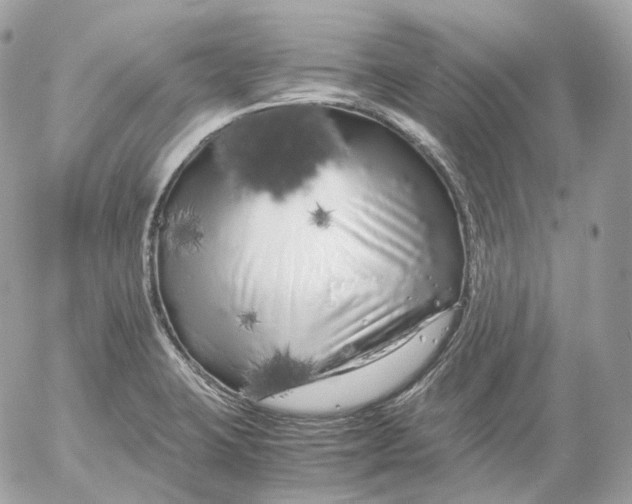 X0000052631423200507221738