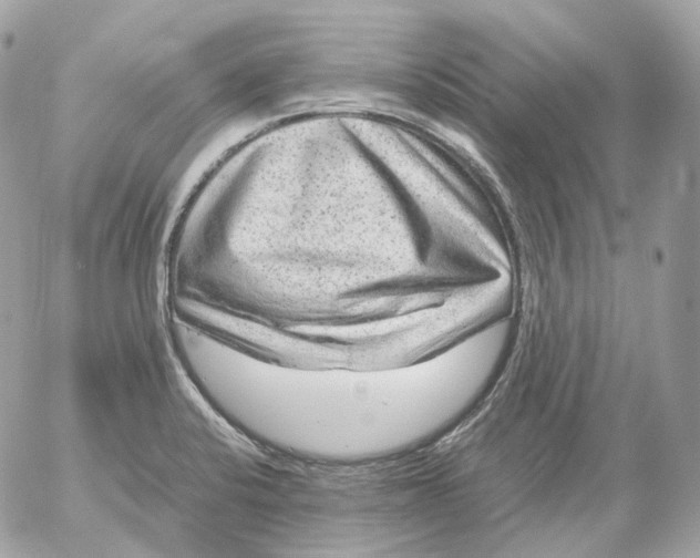 X0000052631424200507221738