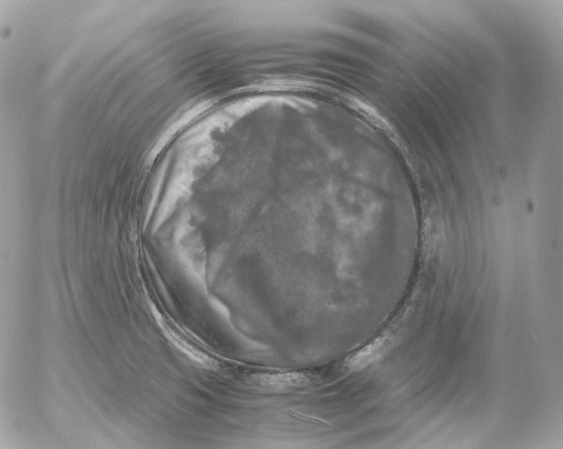 X0000052631425200507221738