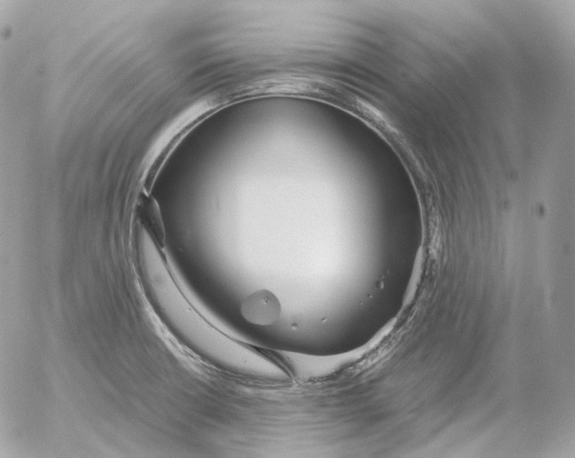 X0000052631426200507221738