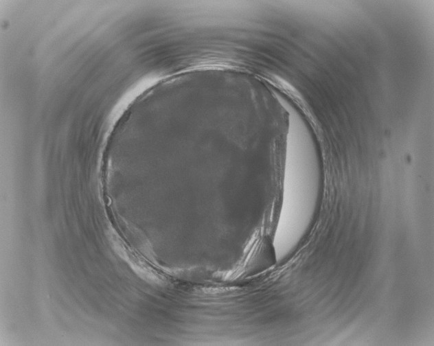 X0000052631427200507221738