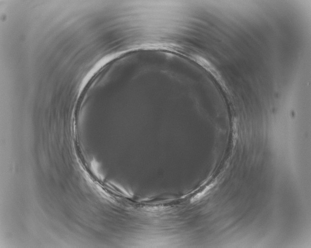 X0000052631428200507221738