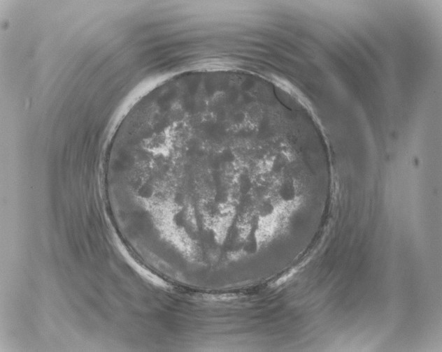 X0000052631429200507221738