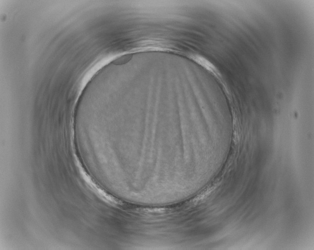 X0000052631431200507221739