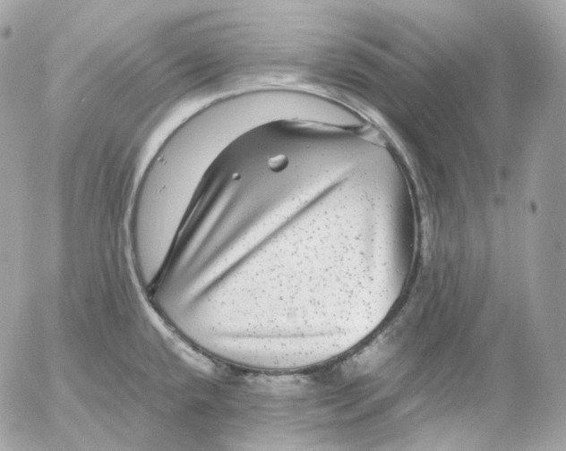 X0000052631432200507221739