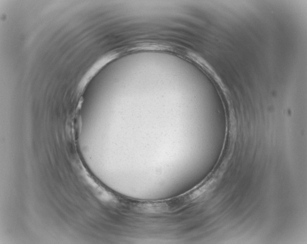 X0000052631433200507221739