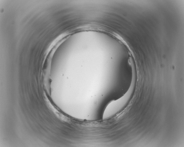 X0000052631434200507221739