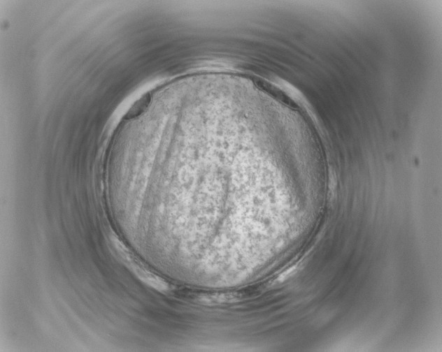 X0000052631435200507221739