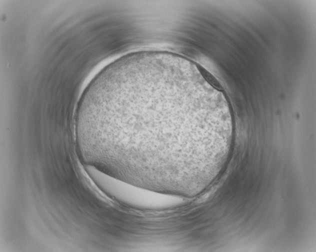 X0000052631436200507221739