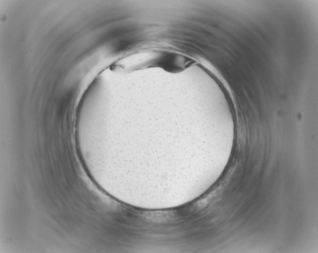 X0000052631437200507221739