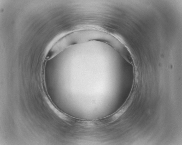 X0000052631438200507221739