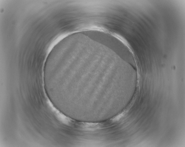 X0000052631439200507221739