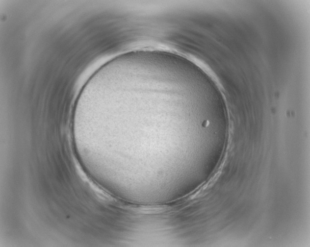 X0000052631440200507221739