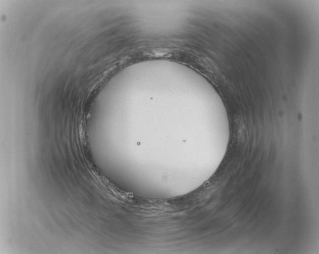 X0000052631442200507221738