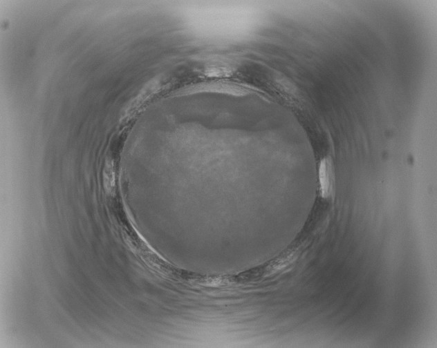 X0000052631443200507221738