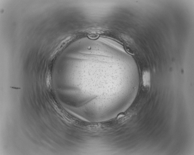 X0000052631444200507221738