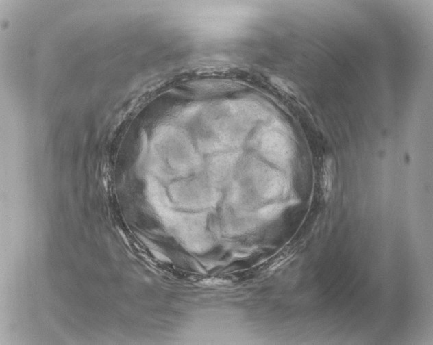 X0000052631445200507221738