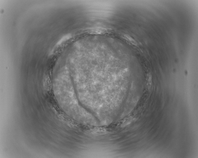 X0000052631446200507221738