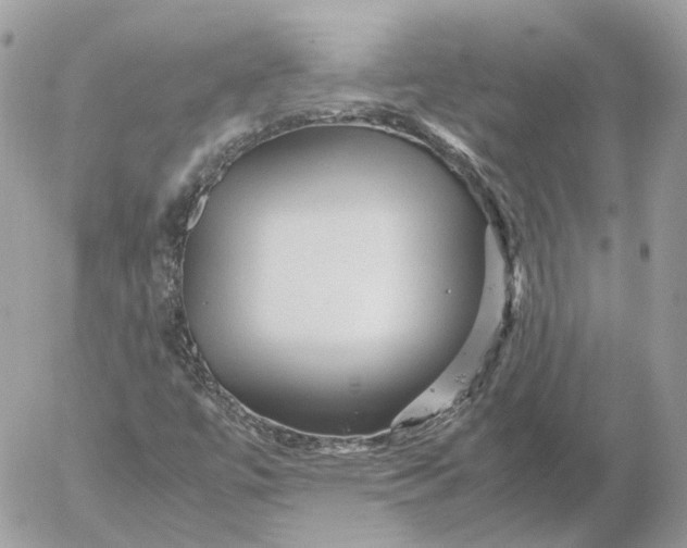 X0000052631447200507221738