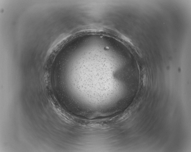 X0000052631448200507221738