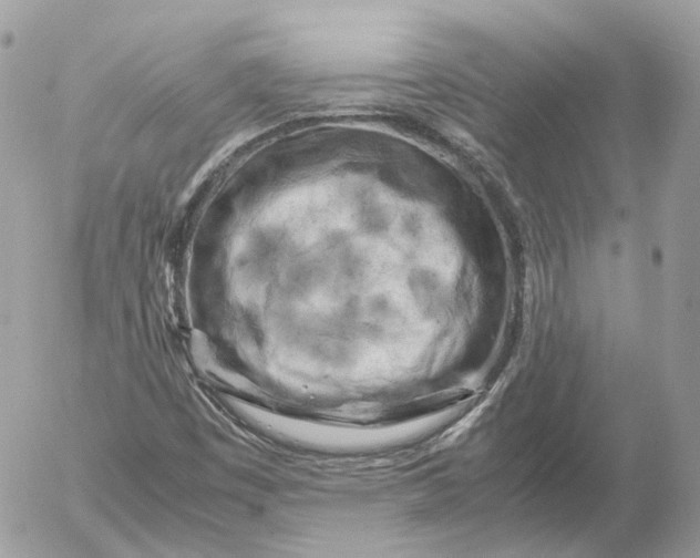 X0000052631449200507221738