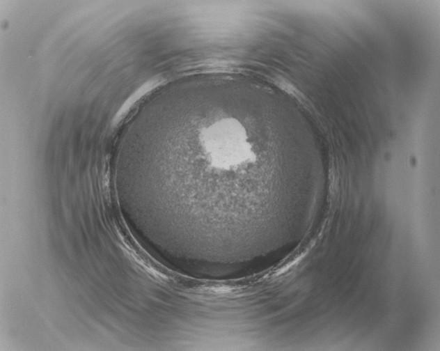 X0000052631450200507221738