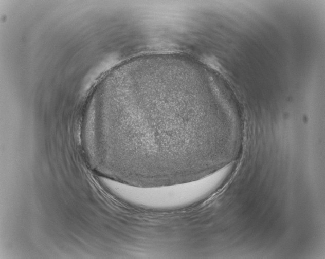 X0000052631451200507221738