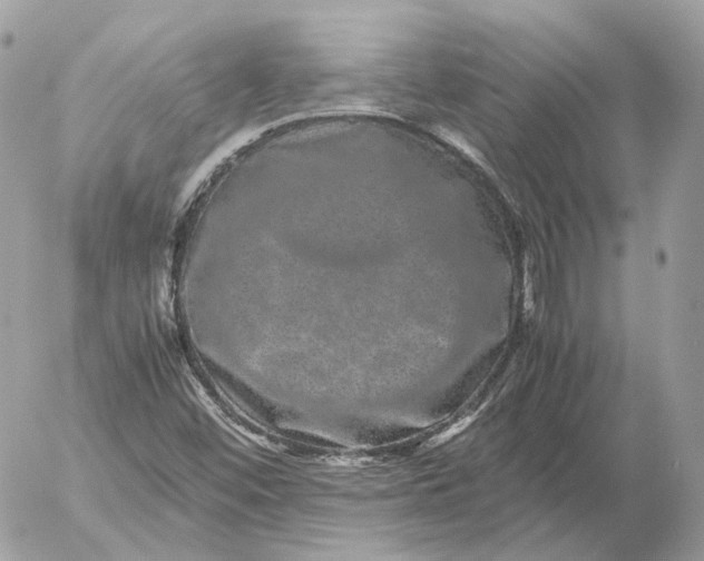 X0000052631452200507221738