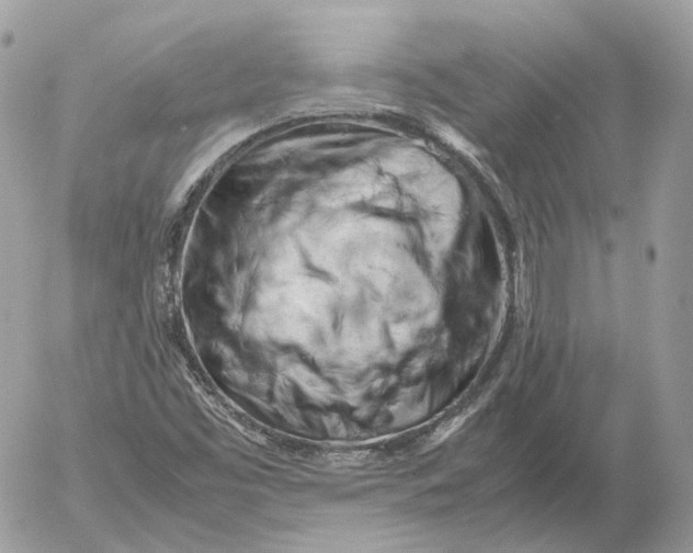 X0000052631453200507221738