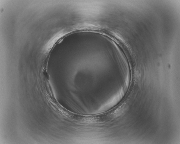 X0000052631455200507221738