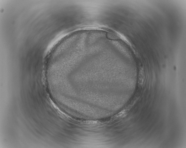 X0000052631456200507221738