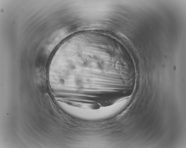 X0000052631457200507221738