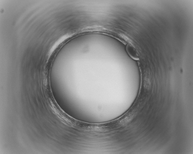 X0000052631458200507221738