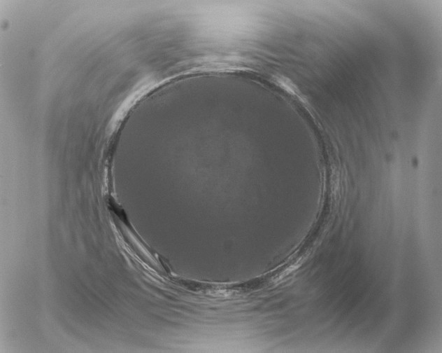 X0000052631459200507221738