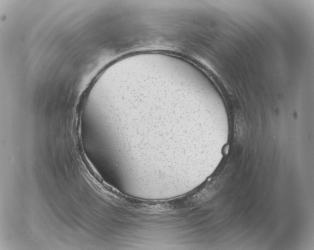 X0000052631460200507221738