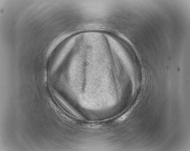 X0000052631461200507221738