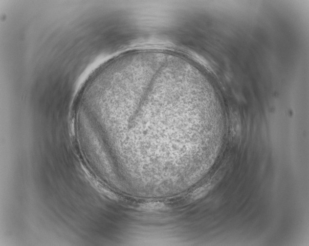 X0000052631462200507221738