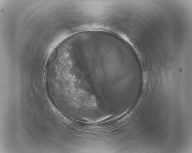 X0000052631463200507221738