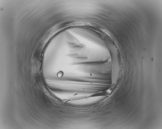 X0000052631465200507221737